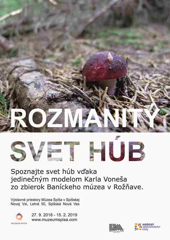 rozmanity svet hub