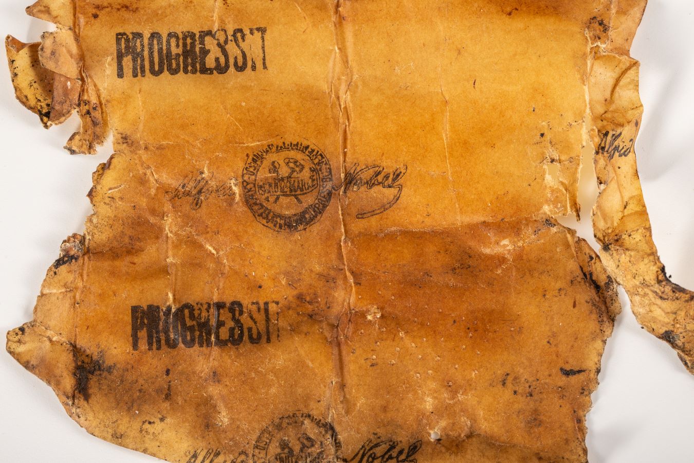 martin pitonak 20180913 7723 web