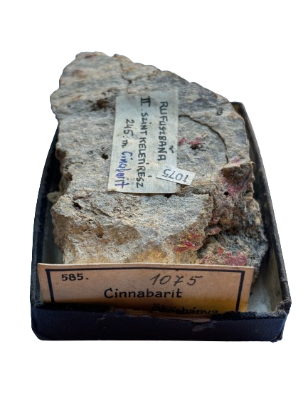 image0 removebg preview